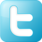 Seguici su Twitter