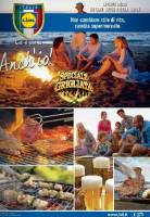 Copertina Volantino Lidl seconda settimana agosto 2013