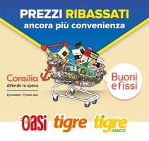 Copertina Volantino Tigre Speciale