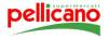 Pellicano Logo Pellicano