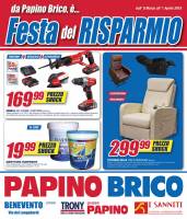 Copertina Volantino Papino Brico